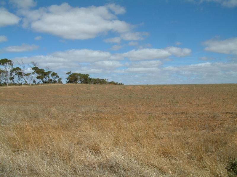 Lot 101/102 Frayville PALMER, Mannum SA 5238