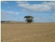 Lot 101/102 Frayville PALMER, Mannum SA 5238