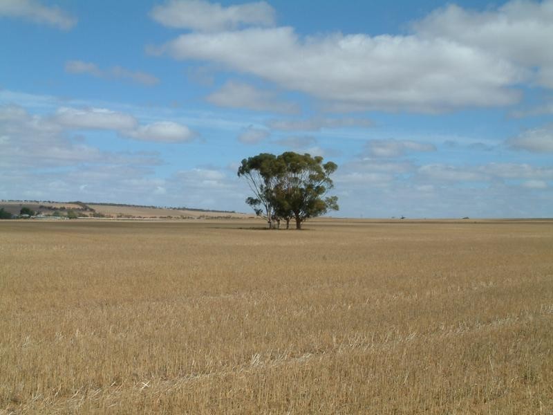 Lot 101/102 Frayville PALMER, Mannum SA 5238