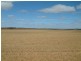 Lot 101/102 Frayville PALMER, Mannum SA 5238