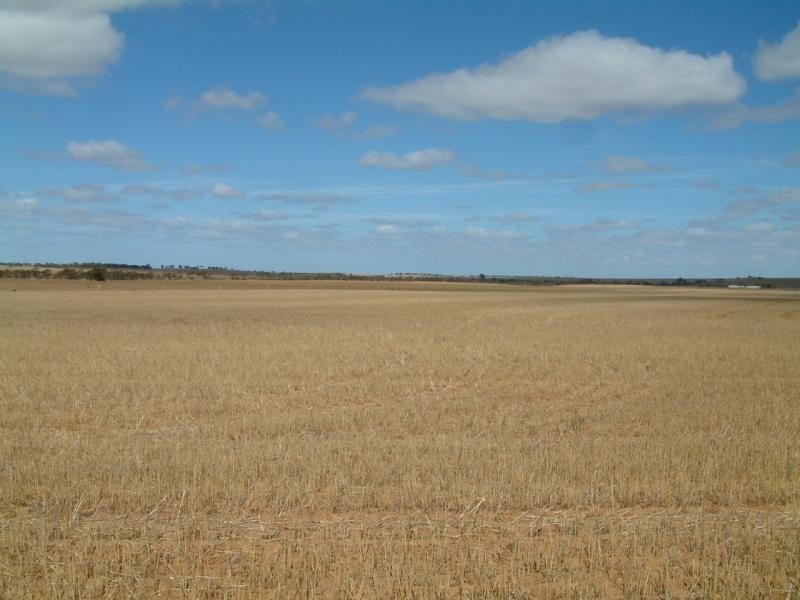 Lot 101/102 Frayville PALMER, Mannum SA 5238