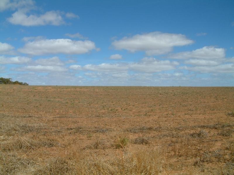 Lot 101/102 Frayville PALMER, Mannum SA 5238