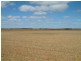 Lot 101/102 Frayville PALMER, Mannum SA 5238
