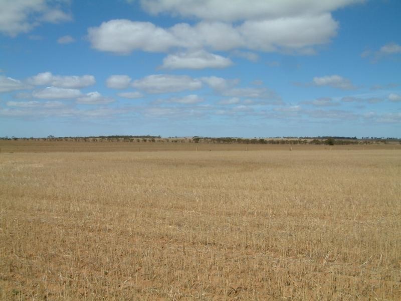 Lot 101/102 Frayville PALMER, Mannum SA 5238