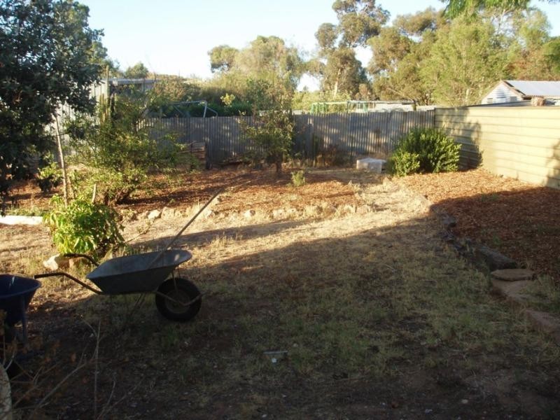 11 Shearer Street, Mannum SA 5238