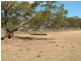 Lot 100/ Frayville Palmer, Mannum SA 5238