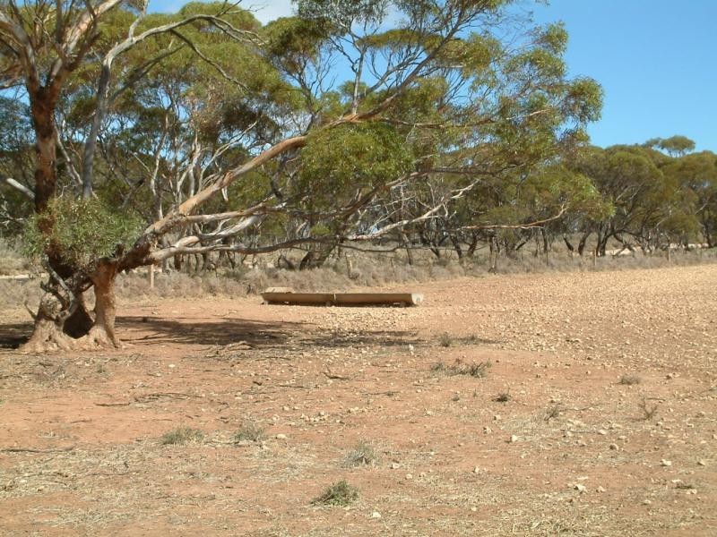 Lot 100/ Frayville Palmer, Mannum SA 5238
