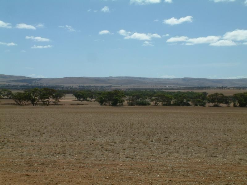 Lot 100/ Frayville Palmer, Mannum SA 5238