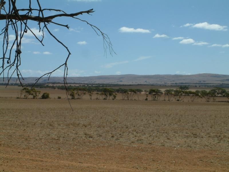 Lot 100/ Frayville Palmer, Mannum SA 5238