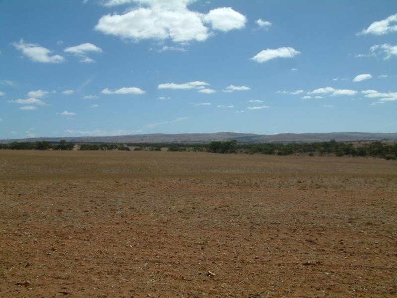 Lot 100/ Frayville Palmer, Mannum SA 5238