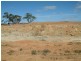 Lot 100/ Frayville Palmer, Mannum SA 5238