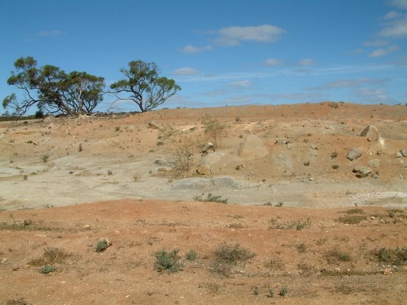 Lot 100/ Frayville Palmer, Mannum SA 5238