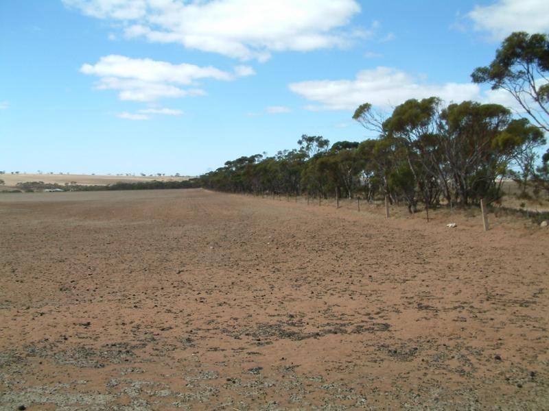 Lot 100/ Frayville Palmer, Mannum SA 5238