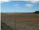 Lot 100/ Frayville Palmer, Mannum SA 5238