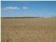 Lot 100/ Frayville Palmer, Mannum SA 5238