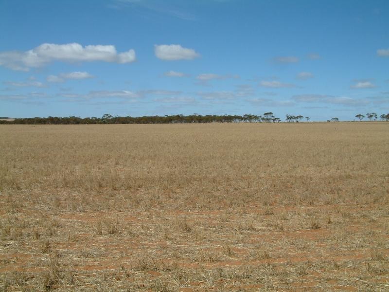 Lot 100/ Frayville Palmer, Mannum SA 5238