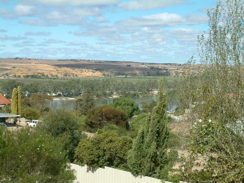 9 Busch Street, Mannum SA 5238