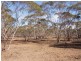 Lot 48/ Gaston Road SWAN REACH via, Mannum SA 5238