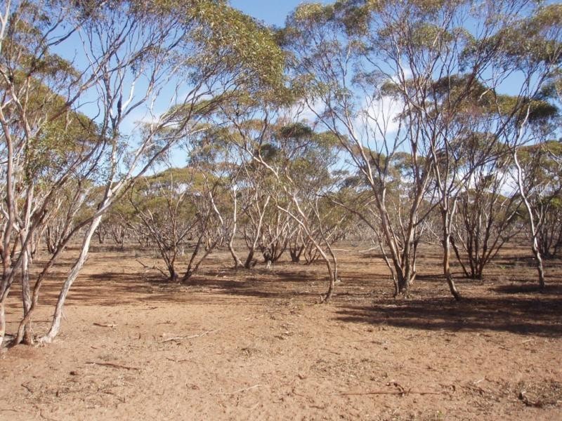 Lot 48/ Gaston Road SWAN REACH via, Mannum SA 5238