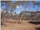 Lot 48/ Gaston Road SWAN REACH via, Mannum SA 5238