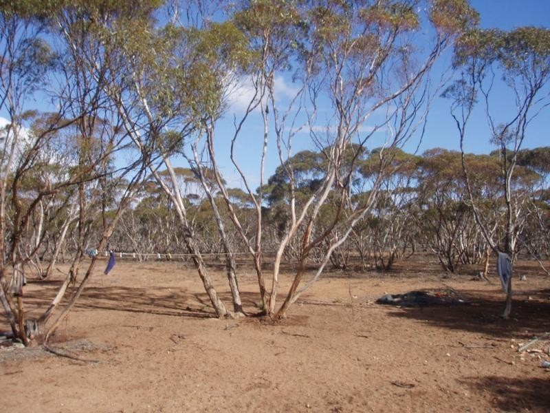 Lot 48/ Gaston Road SWAN REACH via, Mannum SA 5238