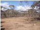 Lot 48/ Gaston Road SWAN REACH via, Mannum SA 5238