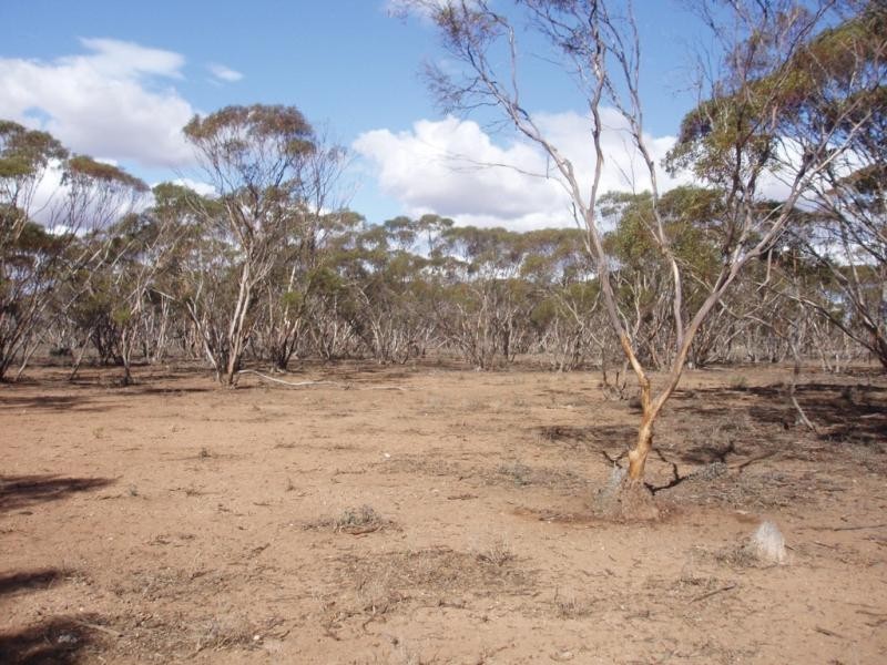 Lot 48/ Gaston Road SWAN REACH via, Mannum SA 5238