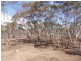Lot 48/ Gaston Road SWAN REACH via, Mannum SA 5238