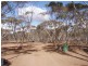 Lot 48/ Gaston Road SWAN REACH via, Mannum SA 5238