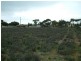 Lot 1/ Myall Place, Mannum SA 5238