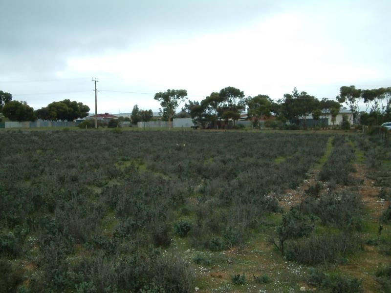 Lot 1/ Myall Place, Mannum SA 5238