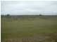 Lot 1/ Myall Place, Mannum SA 5238