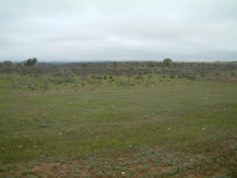 Lot 1/ Myall Place, Mannum SA 5238
