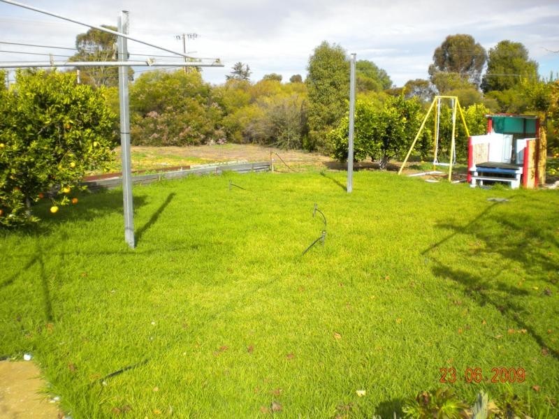 2 Showground Road, Swan Reach SA 5354