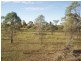 Lot 76/ Murraylands Road, Swan Reach SA 5354