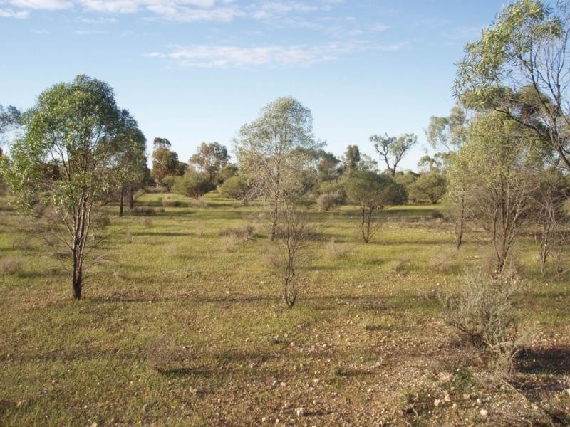 Lot 76/ Murraylands Road, Swan Reach SA 5354