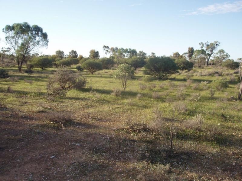 Lot 76/ Murraylands Road, Swan Reach SA 5354