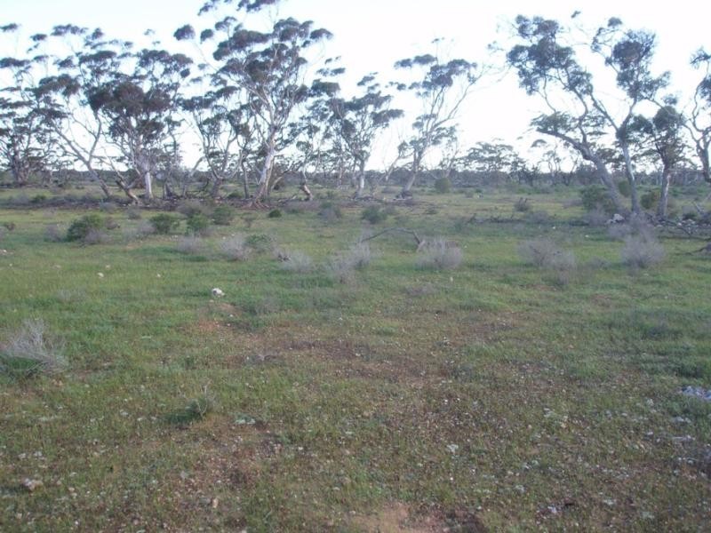 Lot 9/ Government Road SWAN REACH near, Mannum SA 5238