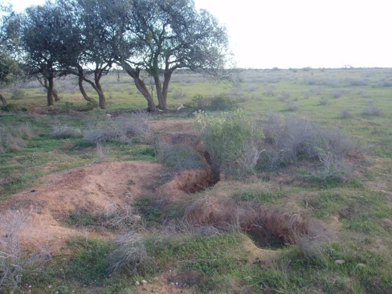 Lot 9/ Government Road SWAN REACH near, Mannum SA 5238