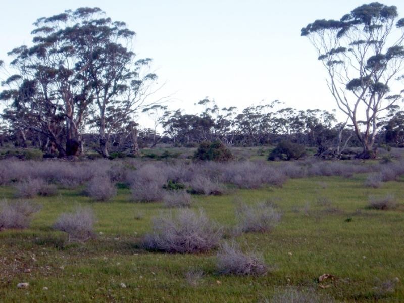Lot 9/ Government Road SWAN REACH near, Mannum SA 5238