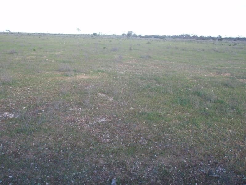 Lot 9/ Government Road SWAN REACH near, Mannum SA 5238