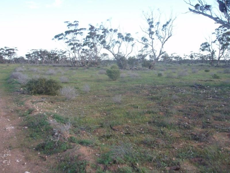 Lot 9/ Government Road SWAN REACH near, Mannum SA 5238