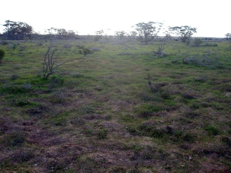 Lot 9/ Government Road SWAN REACH near, Mannum SA 5238