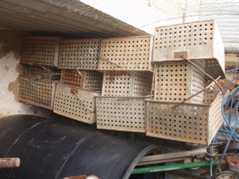 40 Anzac Avenue, Swan Reach SA 5354