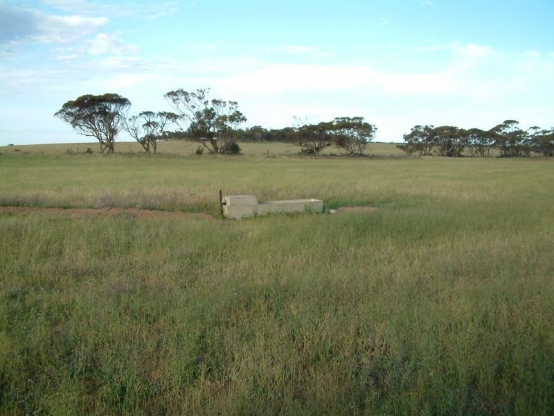 Sections 396, 429, 443 and 408 S Sedan Road, Mannum SA 5238