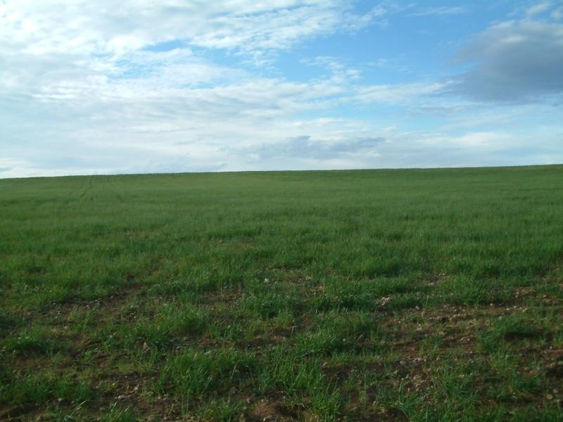 Sections 396, 429, 443 and 408 S Sedan Road, Mannum SA 5238