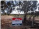 22 Day Street NILDOTTIE via, Mannum SA 5238