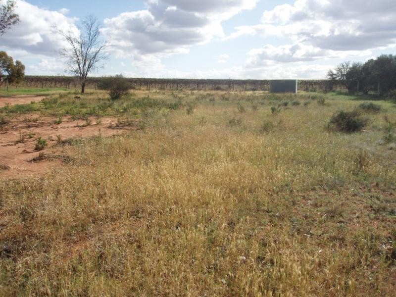22 Day Street NILDOTTIE via, Mannum SA 5238