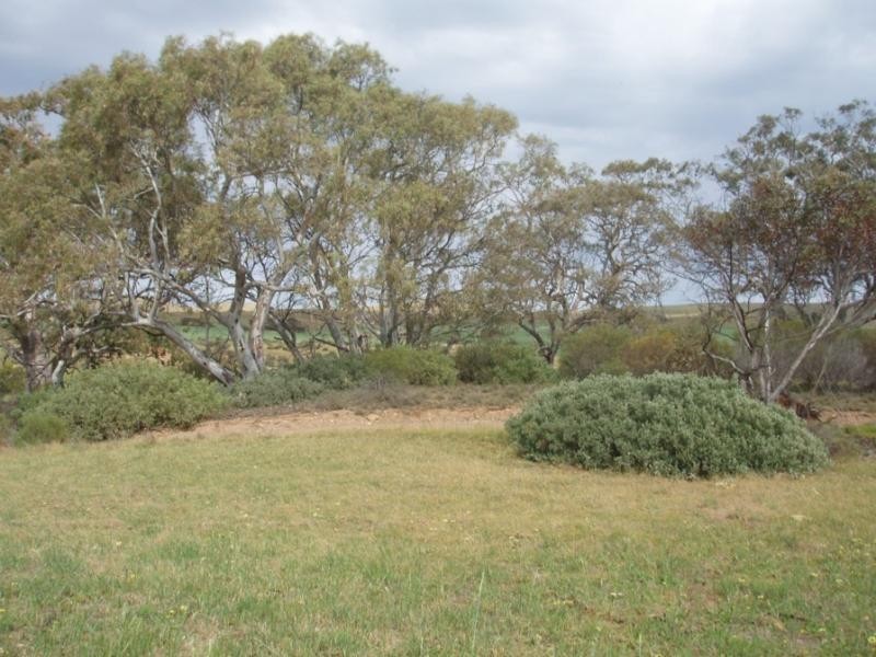 Lot 673/ Three Chain Road, Sedan SA 5353
