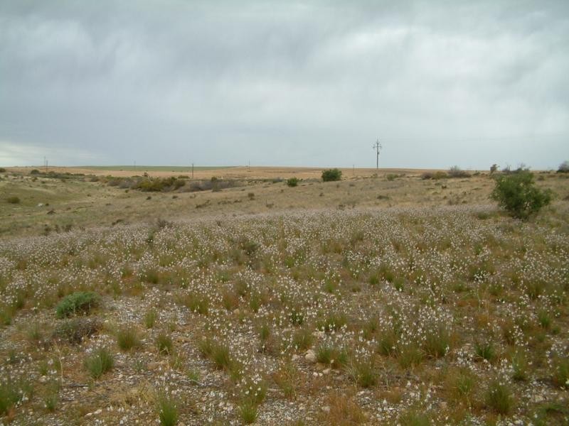 Lot 22/ Zadow Road CALOOTE via, Mannum SA 5238